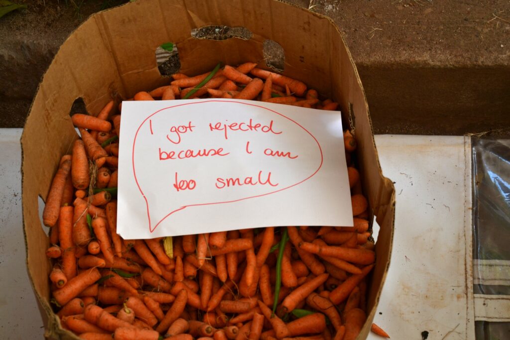 food loss carrots