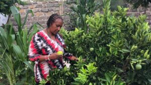 Read more about the article “Growing Futures in Narok: Grace Namunyak’s Journey of Farming and Empowerment”