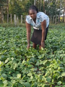 Read more about the article The Year of the Rural Woman Farmer: How Christine Naisuya is Growing Food, Knowledge, and Hope Through Agroecology